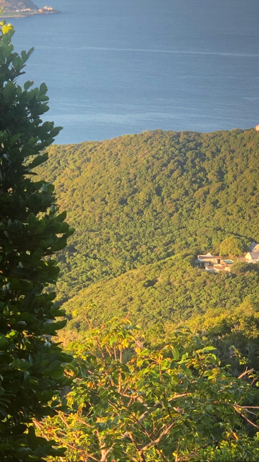 Golden light on the hillside