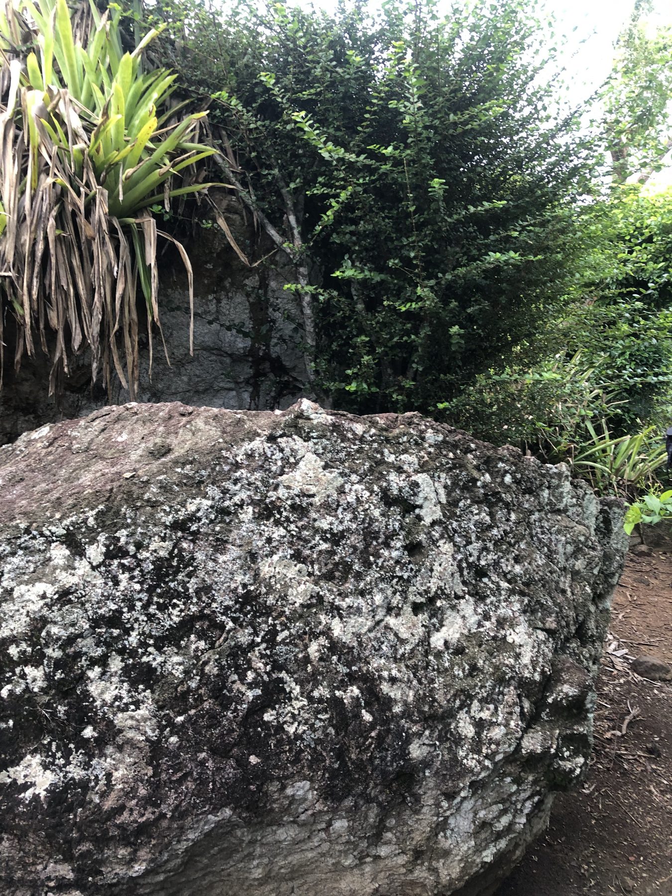 Lichen-painted volcanic boulders near the top