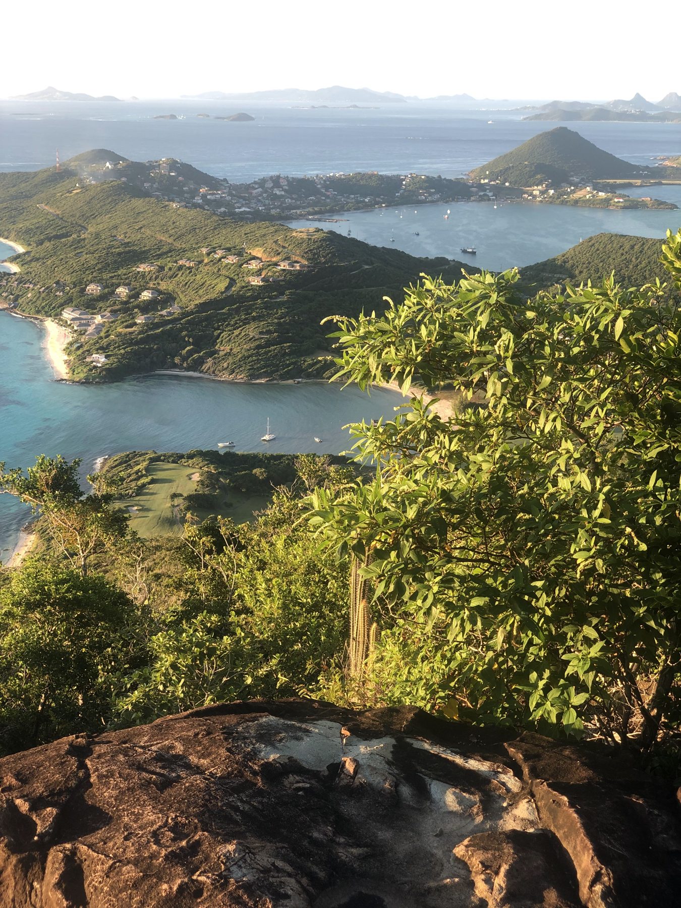 Sails in the bay, seen from the ridge