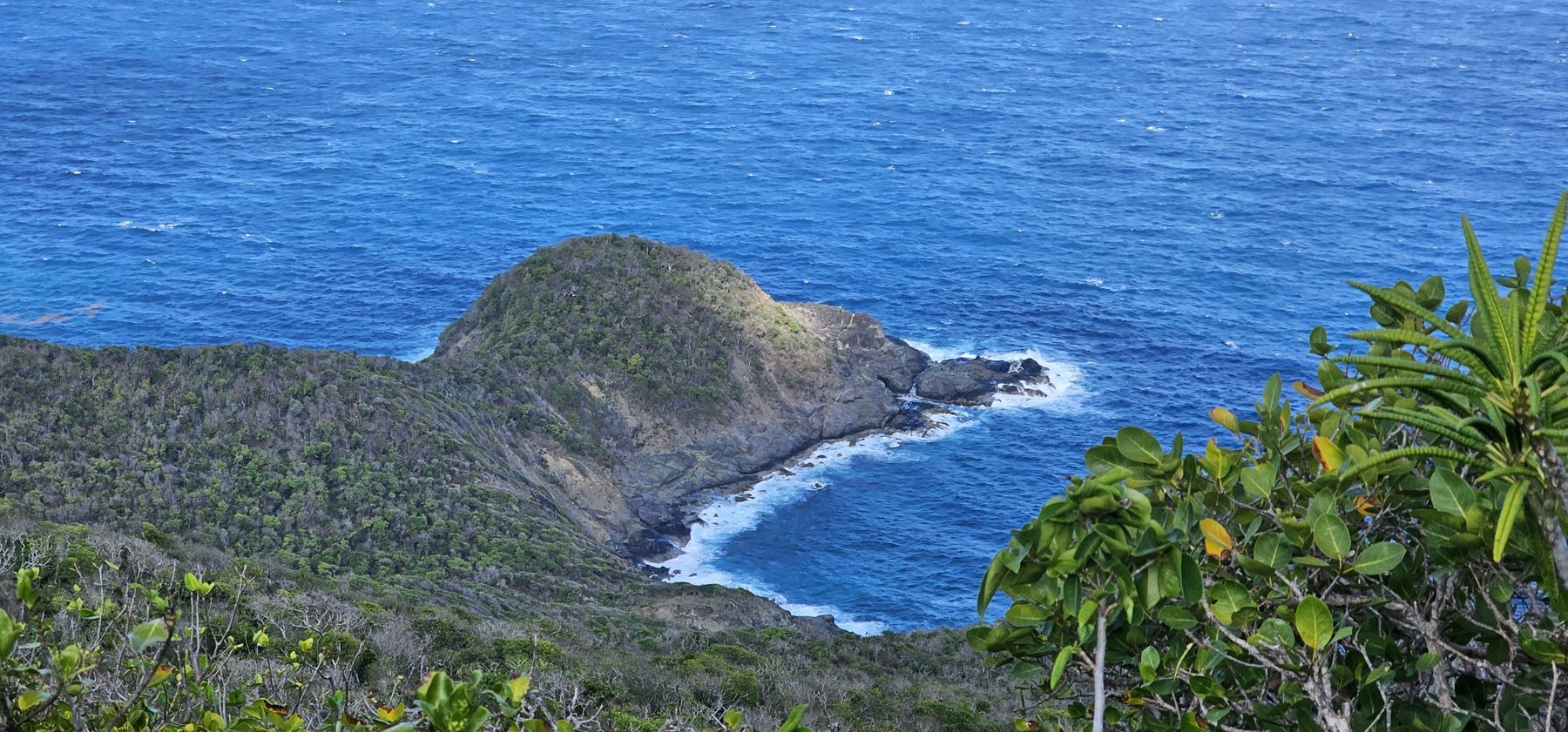 Cliffs and coves of the north coast